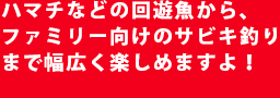 武庫川一文字ではタチウオやハマチなどの回遊魚からファミリーフィッシングまで楽しめます！