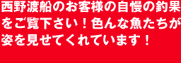 お客様の自慢の釣果をご紹介！